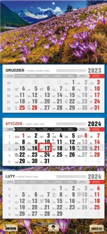 Kalendarz 2024 trójdzielny Krokusy [KALENDARZ]