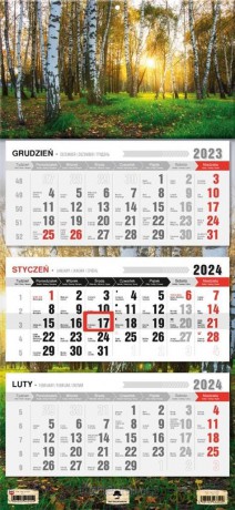 Kalendarz 2024 trójdzielny Las [KALENDARZ]