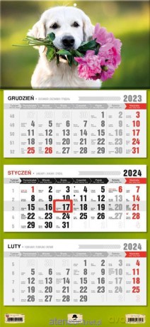 Kalendarz 2024 trójdzielny Pies [KALENDARZ]