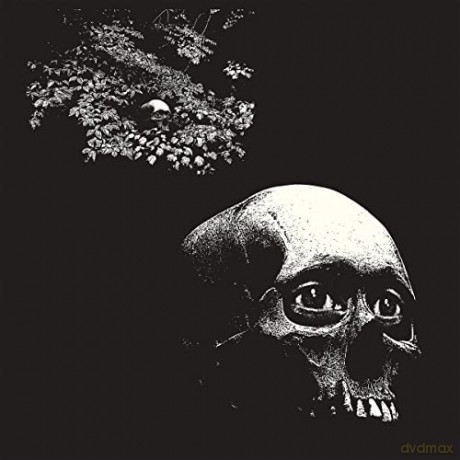 Osees: A Foul Form [Winyl]