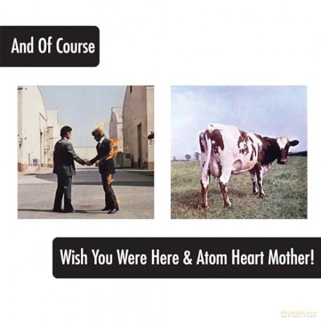 Pink Floyd: Pink Floyd Album Covers 16 Oz 4 Pack Pint Glasses