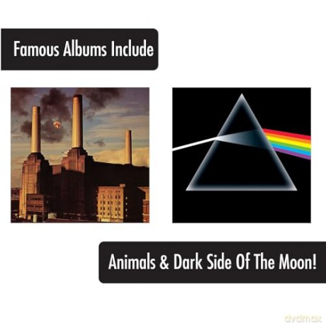 Pink Floyd: Pink Floyd Album Covers 16 Oz 4 Pack Pint Glasses