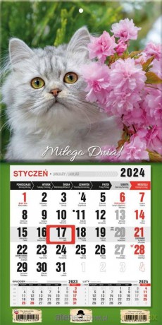 Kalendarz 2024 jednodzielny mini z mag. Kotek [KALENDARZ]