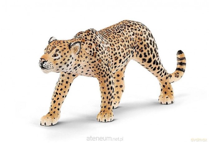 Schleich 17023 Lampart Figurka kot Seria dzikie zwierzęta