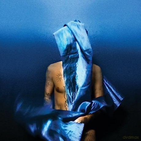 Devendra Banhart: Flying Wig [Winyl]