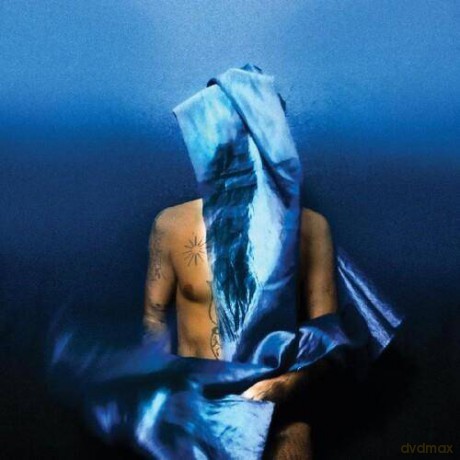 Devendra Banhart: Flying Wig (Blue Indie) [Winyl]