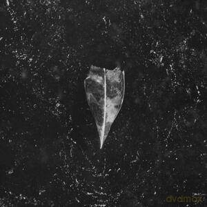 Bees Made Honey In The Vein Tree: Aion (digipack) [CD]