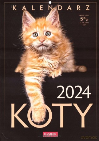 Kalendarz 2024 Koty [KALENDARZ]