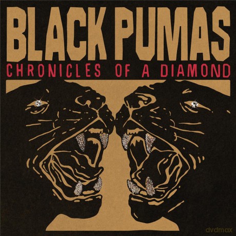 Black Pumas: Chronicles Of A Diamond (digipack) [CD]