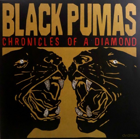 Black Pumas: Chronicles Of A Diamond (Clear) [Winyl]