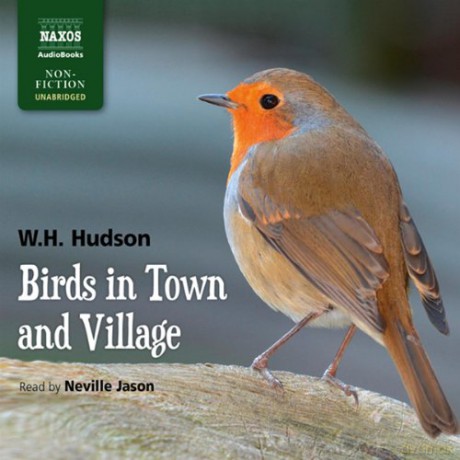 Neville Jason: Birds in Town and Village [6CD]