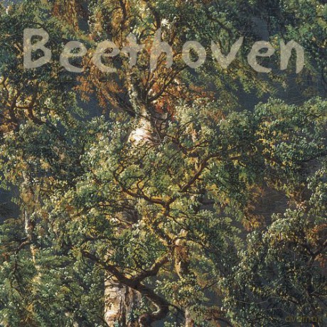 Solum/Fossheim: Cellosonaten [CD]