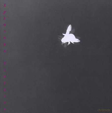 Xylocopa Violacea [CD]