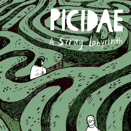 Picidae: A Stray Labyrinth [CD]
