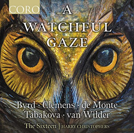 A Watchful Gaze [CD]