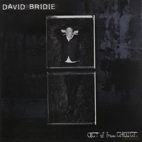 Bridie David: Act Of Free Choice [CD]