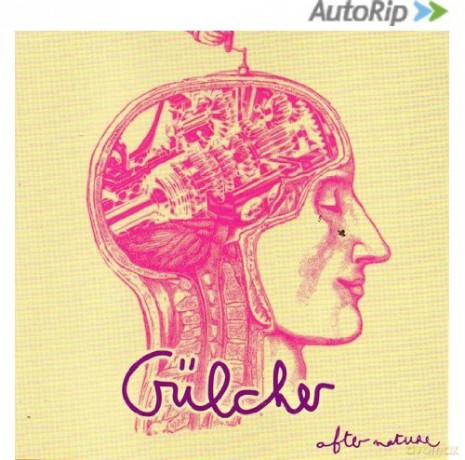 Gulcher: After nature [CD]