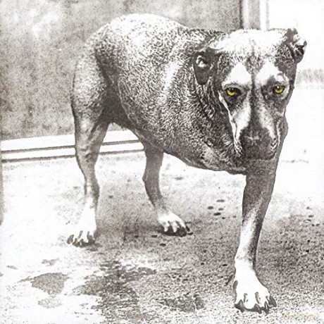 Alice In Chains: Alice In Chains [CD]