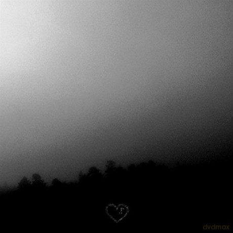 The Nouve: Analogue Souls In Digital Times [CD]