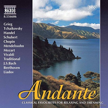 Andante [CD]