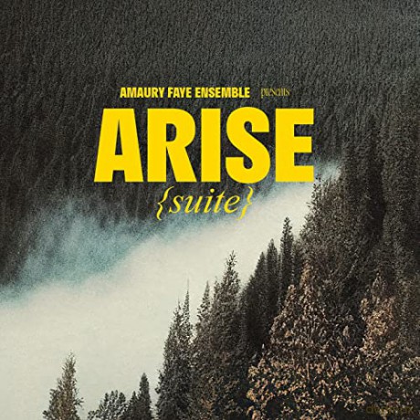 Amaury Ensemble Faye: Arise (Suite) [CD]