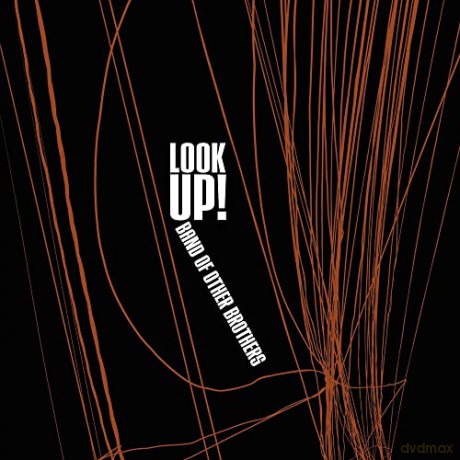 Look Up!: Band Of Other Brothers [CD]