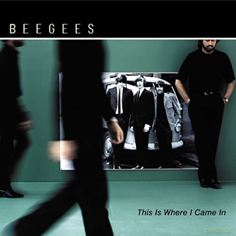 Bee Gees: Bee Gees - This Is Where I Came In [CD]