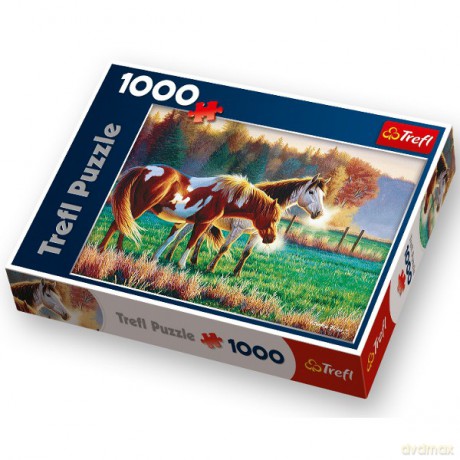 TREFL 1000 Mroźny poranek na pastwisku  [PUZZLE]