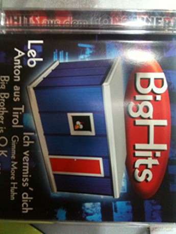 BigHits aus dem Container [CD]