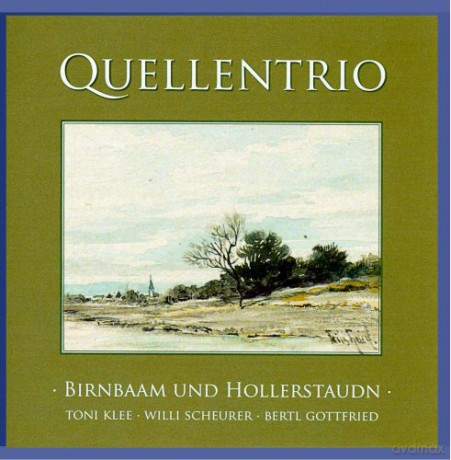Quellentrio: Birnbaam Und Hollerstaudn [CD]