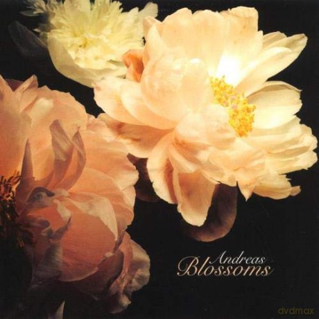 Andreas: Blossoms [CD] [CD]