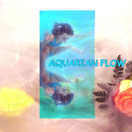 Bollmann, Christian: Aquarian Flow - Peace Pool Pr [CD]
