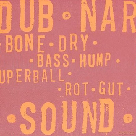 Dub Narcotic Sound System: Bone Dry [CD]