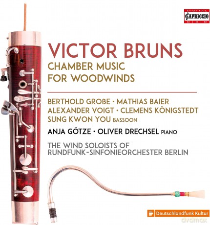 Grobe/Baier/Voigt/Königstedt/You/Götze/Drechsel: Bruns: Chamber Music for Woodwinds [2CD]