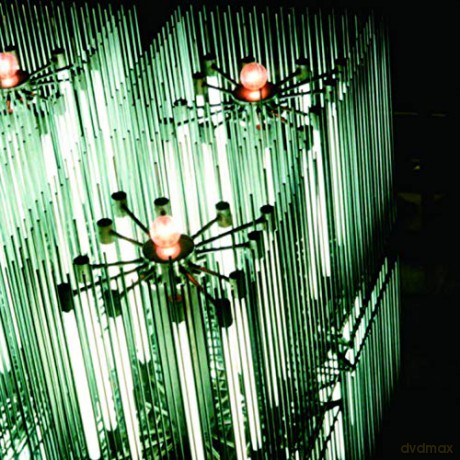 Merzbow: Cat Of Shell Vol.2 [CD]