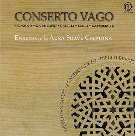Conserto vago [CD]