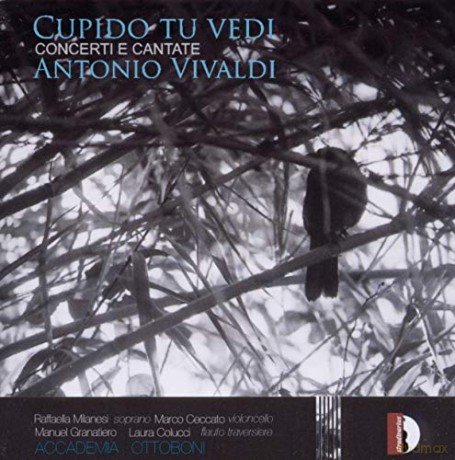 Milanesi/Granatiero/Colucci/Ceccato/Acc.Ottoboni: Cupido tu vedi-Concerti und Kantaten [CD]