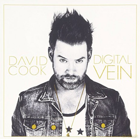David Cook-Digital Vein [CD]