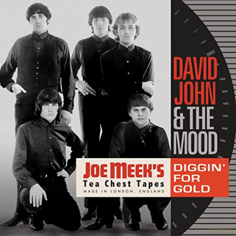David John And The Mood: Diggin For Gold Joe Meeks T [CD]