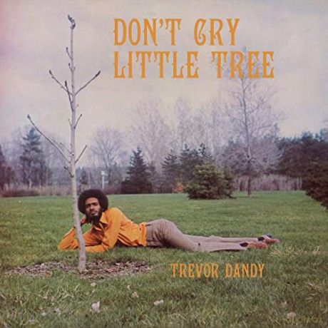 Trevor Dandy: Don't Cry Little Tree [CD]