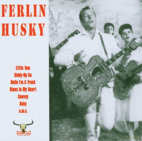 Ferlin Husky: Don'T Fall Asleep At The [CD]