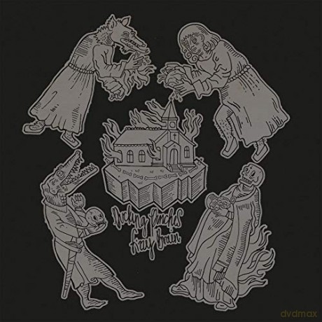 Ducking Punches-Fizzy Brain [CD]