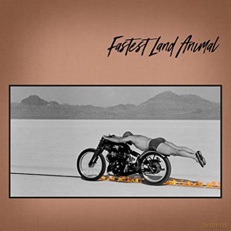 Fastest Land Animal: East Coast, West Coast, In Between [CD]