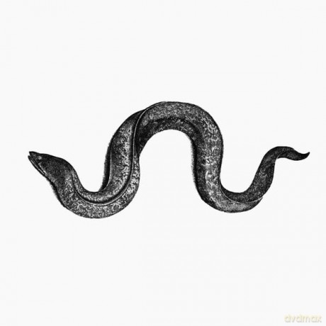 Hyunhye Seo: Eel [CD]