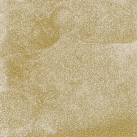 Siavash Amini: Eidolon [CD]