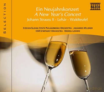 Wildner/Lenard/+: Ein Neujahrskonzert [CD]