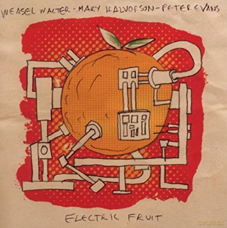 Electric Fruit [CD]