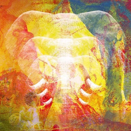 Join The Din: Elephants In Autumn Rage [CD]