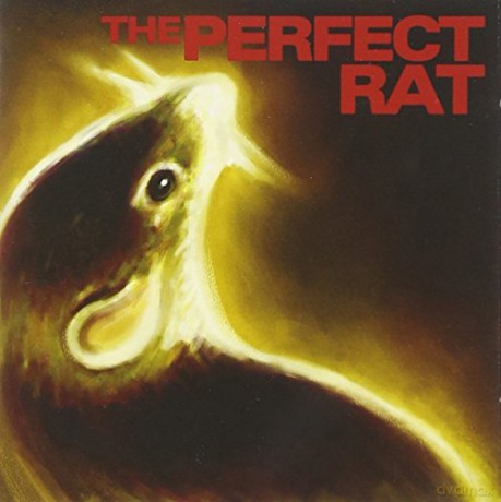 The Perfect Rat: Endangered Languages [CD]