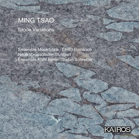 Ensemble Musikfabrik; Emilio Pomarico; Neue Vocalsolisten Stuttgart; Ensemble Knm Berlin; Stefan Sch: Ensemble Musikfabrik; Emilio Pomarico; Neue Vocalsolisten Stuttgart; Ensemble KNM Berlin; Stefan Sch [CD]